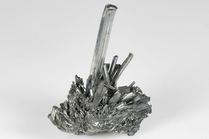 Lustrous, Metallic Stibnite Crystal Spray - China #175838